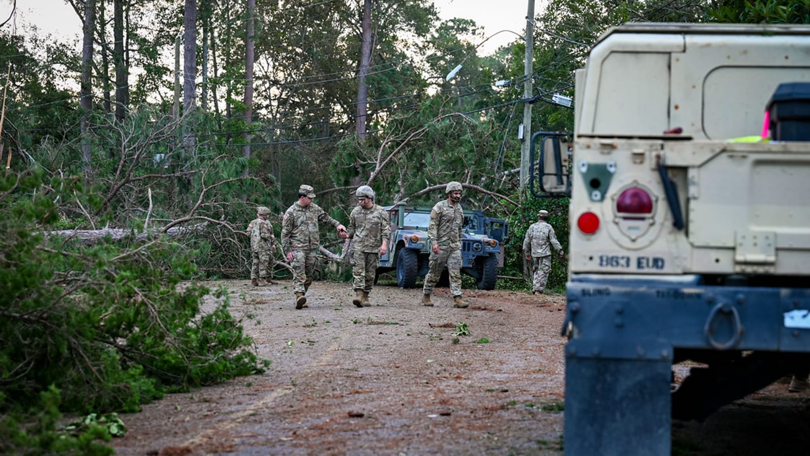 Georgia National Guard members clearing a storm-downed pine tree from a road (stock photo, for illustration only)